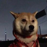 🐕たぁー＊お休み＊-糸-中島みゆき