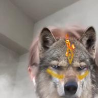 キャサリン-瞳をとじて-平井堅