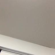 mameko-PRIDE-今井美樹