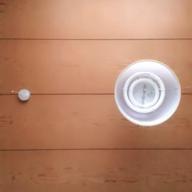 imonegi-たしかなこと-小田和正