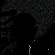 トッキー-ドライフラワー-優里