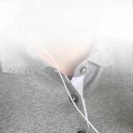 🌖🐕🎤ようじ😊🎸🌔-恋しくて-BEGIN