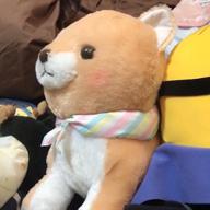 MASAMUNE-ここにしか咲かない花-コブクロ