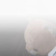 MASAMUNE-愛を止めないで-倖田來未