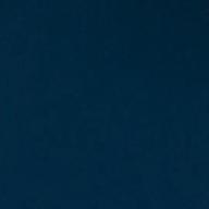 ベンちゃん🐯-M-PRINCESS PRINCESS