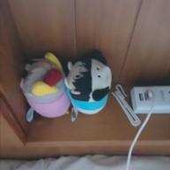 あおひ🍙-シャルル-バルーン