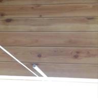 mose-Link-L'Arc-en-Ciel