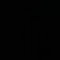 ベンちゃん🐯-デイ・ドリーム・ビリーバー ～DAY DREAM BELIEVER～-ザ・タイマーズ