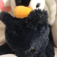 こっこさん-シュガーソングとビターステップ-UNISON SQUARE GARDEN