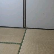 機械人形-らしさ-SUPER BEAVER