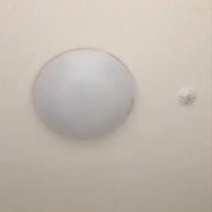 おしょう-Precious-伊藤由奈