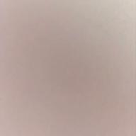 rui_reira-わたがし-back number