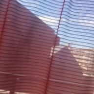 YUKA-to U(Salyu ver.)-Salyu