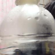 柴狗さん-桜流し-宇多田ヒカル