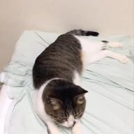 satsko_-特捜戦隊デカレンジャー-サイキックラバー