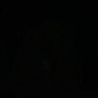 かわりょう-Lemon-米津玄師