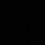 パンダking☆-花-オレンジレンジ