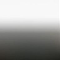 さりぃ❁-カブトムシ-aiko