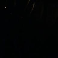 みっふぃー-千本桜-和楽器バンド