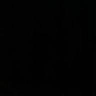 しろくま-花唄-GReeeeN