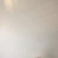 にっしー-シャルル-バルーン