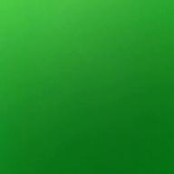 🍵煎茶🍵-碧いうさぎ-酒井法子