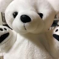 シロクマさん-千本桜-WhiteFlame