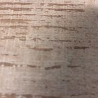 garon-Day you laugh-豊永利行