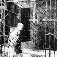 ふうれう-今宵、月が見えずとも-ポルノグラフィティ