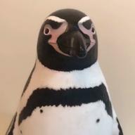 nyacco-ただ君に晴れ-ヨルシカ