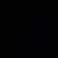 Alice-強く儚い者たち-Cocco