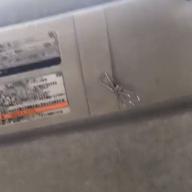 アルハナレム-白日-King Gnu