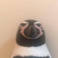 nyacco-アイネクライネ-米津玄師