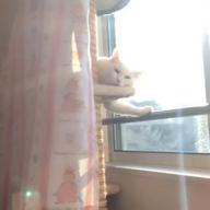 🐶　Mina  🐶-夢をあきらめないで-岡村孝子