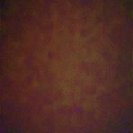 もちもちもちりんぬ-Only Human-K