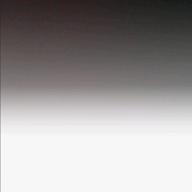 渚✩.*˚-薔薇は美しく散る-鈴木宏子