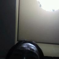 チンパンジー-乾杯-長渕剛