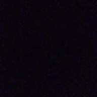 Saitama-カブトムシ-aiko