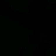 おはまる-Lights-BTS