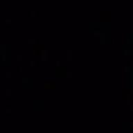 sin2610-VIP-Mrs. GREEN APPLE