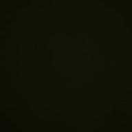 みぽぐま-セクシー・アドベンチャー-中村裕介