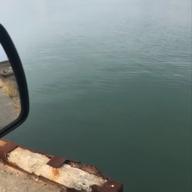 だいだい-あの紙ヒコーキ くもり空わって-19(ジューク)