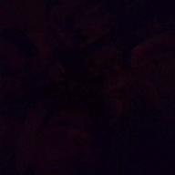 笹錦あきら-君は1000%-1986 オメガトライブ