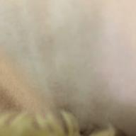 はるきゃん-Vivid Colors-L'Arc-en-Ciel