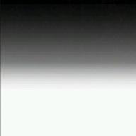 🍮やっち🍮-Raining-Cocco