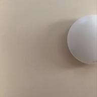 cocona-なんでもないや (movie ver.)-上白石萌音