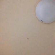 Monmouth-まちぶせ-松任谷由実