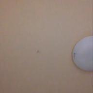 Monmouth-馬と鹿-米津玄師