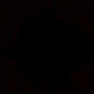 くおんさん-シグナル-WANIMA