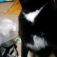 D-ta　長崎生まれ♪-別の人の彼女になったよ-wacci